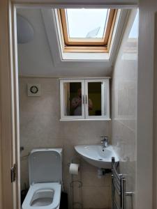 a bathroom with a toilet and a sink and a skylight at En-suit on chilwell street in Nottingham