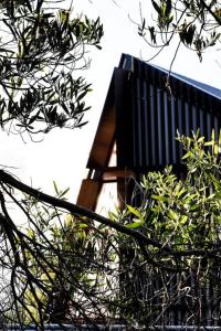 a building is seen through the branches of a tree at Apollo Bay House in Woodbridge