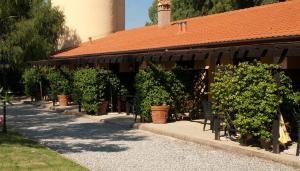 a row of potted plants in front of a building at Agriturismo Le Pescine in Vada
