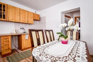 a kitchen with a table with a potted plant on it at Apartamenty u Gabi in Poronin