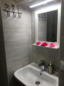 baño con lavabo, espejo y flores rosas en Dora Relax en Turín