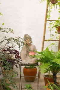 Zahrada ubytování Sep'on Heartfulness Centre