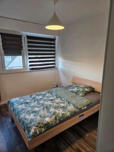 um quarto com uma cama e uma janela em Appartement proche gare aéroport Mulhouse em Riedisheim