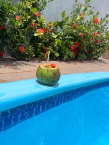 un coco sentado en el borde de una piscina en Casa Pé na Areia en São José da Coroa Grande