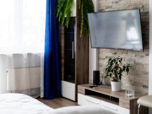 Televízia a/alebo spoločenská miestnosť v ubytovaní Park Białoprądnicki Blue Studio