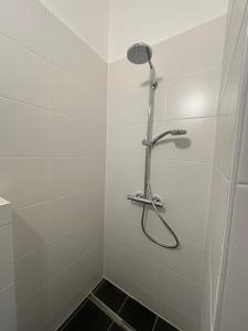 a shower with a shower head in a bathroom at Wick Home Lahr in Burgheim