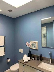 Un baño azul con inodoro y lavabo. en Modern city townhouse with rooftop terrace, en Ciudad del Cabo