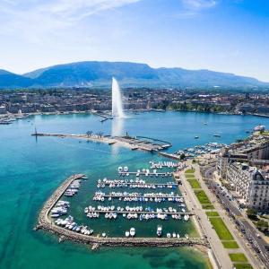 uma vista aérea de um porto com uma fonte de água em Nature Montagn view Salève Geneva - 12 pers. 2 logements em Beaumont