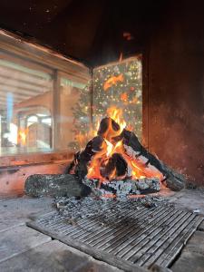 un feu dans une pièce avec un arbre de Noël dans l'établissement Guest House La Selvotta, à Formello