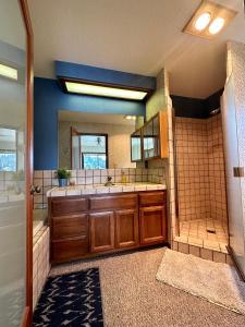 Un baño con bañera, lavabo y ducha. en Luxury Yosemite Lake House, en Groveland