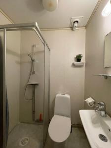 a bathroom with a shower and a toilet and a sink at Lilla Hotellet in Sundsvall