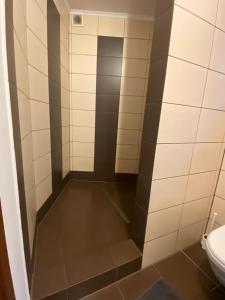 a small bathroom with a toilet and a stall at Apartament Zakopane Kościelisko in Kościelisko
