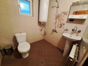 a small bathroom with a toilet and a sink at Guest House Freya in Beli Iskar +12 photos