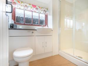 uma casa de banho com um WC, um lavatório e um chuveiro em 2 Bed in Eden Valley SZ269 em Kirkoswald