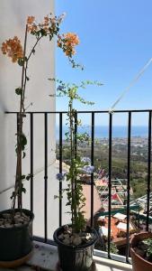 dos plantas en macetas sentadas en un alféizar de la ventana en Precioso apartamento con vistas en Mijas