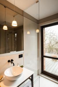 uma casa de banho com um lavatório e uma cabina de duche em vidro. em Le Petit Chalet em Brasov