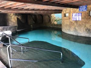 a swimming pool in a zoo with a painting on the wall at Mount Amanzi in Hartbeespoort