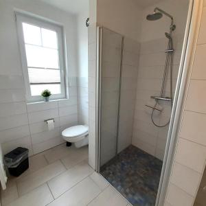 a bathroom with a shower and a toilet at Ferienwohnung Art in Born in Born