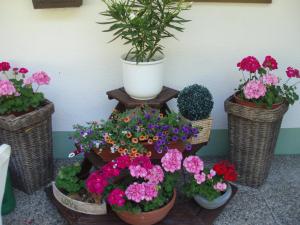A garden outside Ferienwohnung Nancy