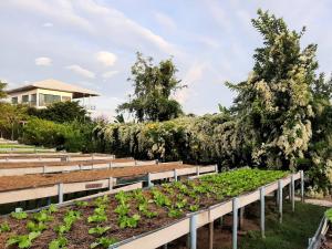 Zahrada ubytování Niramitsook Farm Stay Khao Yai บ้านไร่นิรามิสสุข ฟาร์มสเตย์ ปากช่อง เขาใหญ่