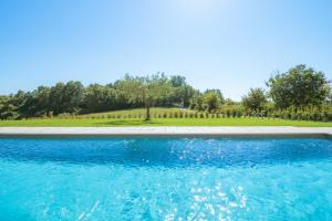 Bazén v ubytovaní Villa Frida in Vizinada, Poreč by Istrabook alebo v jeho blízkosti