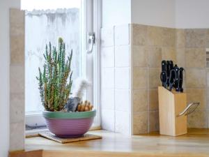 a plant in a pot sitting on a counter next to a window at 1 Bed in Lyndhurst NFL60 in Lyndhurst