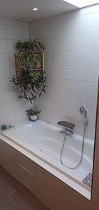 La salle de bains est pourvue d'une baignoire et d'une douche. dans l'établissement LodgeRivierenhof, à Anvers