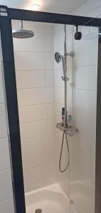 La salle de bains est pourvue d'une douche avec une porte en verre. dans l'établissement LodgeRivierenhof, à Anvers