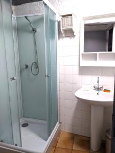 a bathroom with a shower and a sink at Le cabinet de curiosités in Aiguèze
