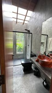 a bathroom with a red sink and a toilet at Lodge Bella Vista do Canoão in Ibicoara