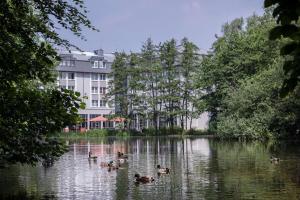 eine Gruppe von Enten im Wasser vor einem Gebäude in der Unterkunft Hotel Dusseldorf Krefeld Affiliated by Meliá in Krefeld