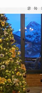 un arbre de Noël avec des lumières devant une fenêtre dans l'établissement Best view Kazbegi, à Kazbegi