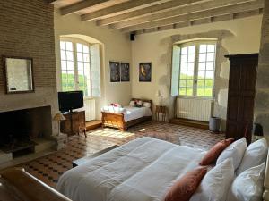 Televisyen dan/atau pusat hiburan di Chateau de Mazelieres