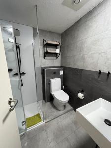 a bathroom with a toilet and a shower and a sink at Pension Maintal Eltmann in Eltmann