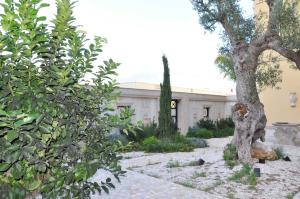 un jardin avec un arbre et un bâtiment dans l'établissement BHB Hotel, à Mandurie