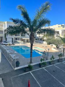una palmera en un aparcamiento con piscina en Oceania bay village Pyla, en Lárnaca