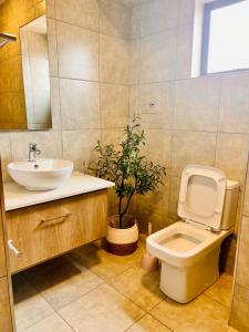 uma casa de banho com um WC, um lavatório e uma planta em Makarios em Pretoria