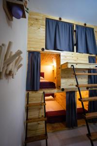 um beliche num quarto com uma escada em LEAD Pods Hostel em Salta