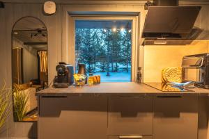 Köök või kööginurk majutusasutuses Aera - Glass cabins