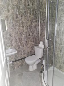 een badkamer met een toilet en een douche bij LiveStay-Studio Flat in Dalston in Londen