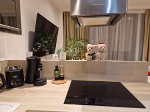 Dois ursinhos de peluche sentados em cima de um balcão de cozinha. em By nuit-parisienne : Superbe appartement avec SPA et terrasse privée em Villemomble