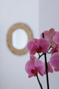 a bunch of pink flowers in front of a number at Essentia Rooms & Relax in Vasto
