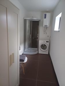 een badkamer met een douche en een wasmachine bij Lambertu ielas rezidence in Mārupe