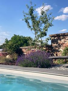 Bazén v ubytování Le Clos d’Azel - Le gîte du cocher avec piscine nebo v jeho okolí