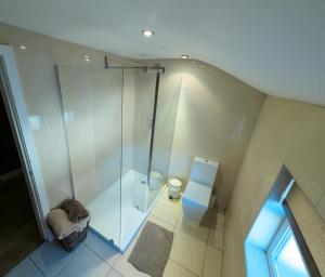 uma casa de banho com um chuveiro e um WC. em Richmond Apartment em Liverpool