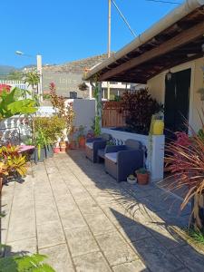 フンシャルにあるHome & Flower - Private bedrooms Funchalのソファと鉢植えの植物が備わるパティオ
