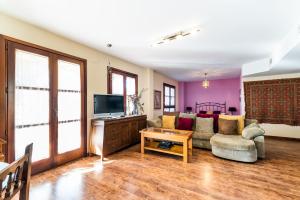 a living room with a couch and a tv at Luminoso Alhambra View Suite - El Laurel in Granada