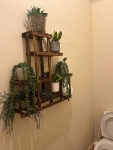 a bathroom with a shelf with potted plants on it at Seafront Balcony Apartment in Hastings