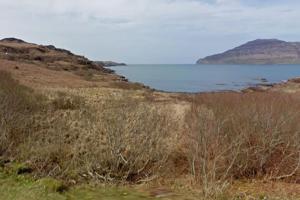 a field of grass with a body of water at Ormsaig Byre in Beach