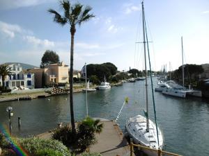 コゴランにあるPCOGBLAN - Golfe de Saint-Tropez - T2 avec piscine vue marinaの椰子の木が浮かぶ川の船団